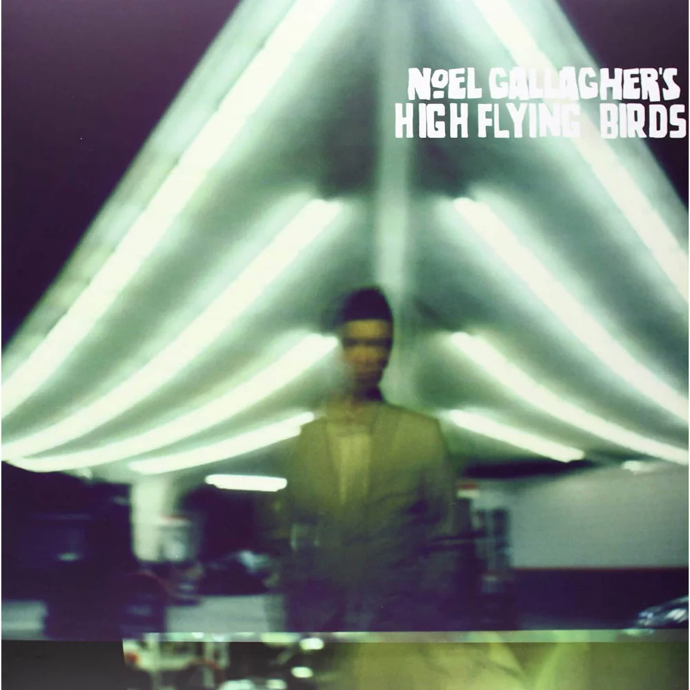 Noel Gallagher's High Flying Birds - Noel Gallagher's High Flying Birds Vinyl Image 1