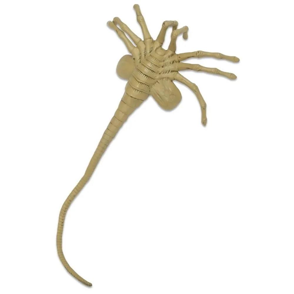 NECA Alien - Foam Prop Replica - Life-Size Facehugger Image 1