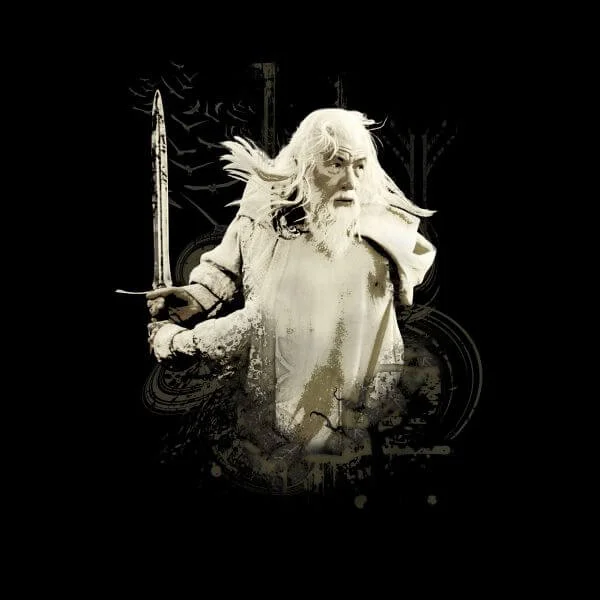 The Lord Of The Rings Gandalf Women's T-Shirt - Black
