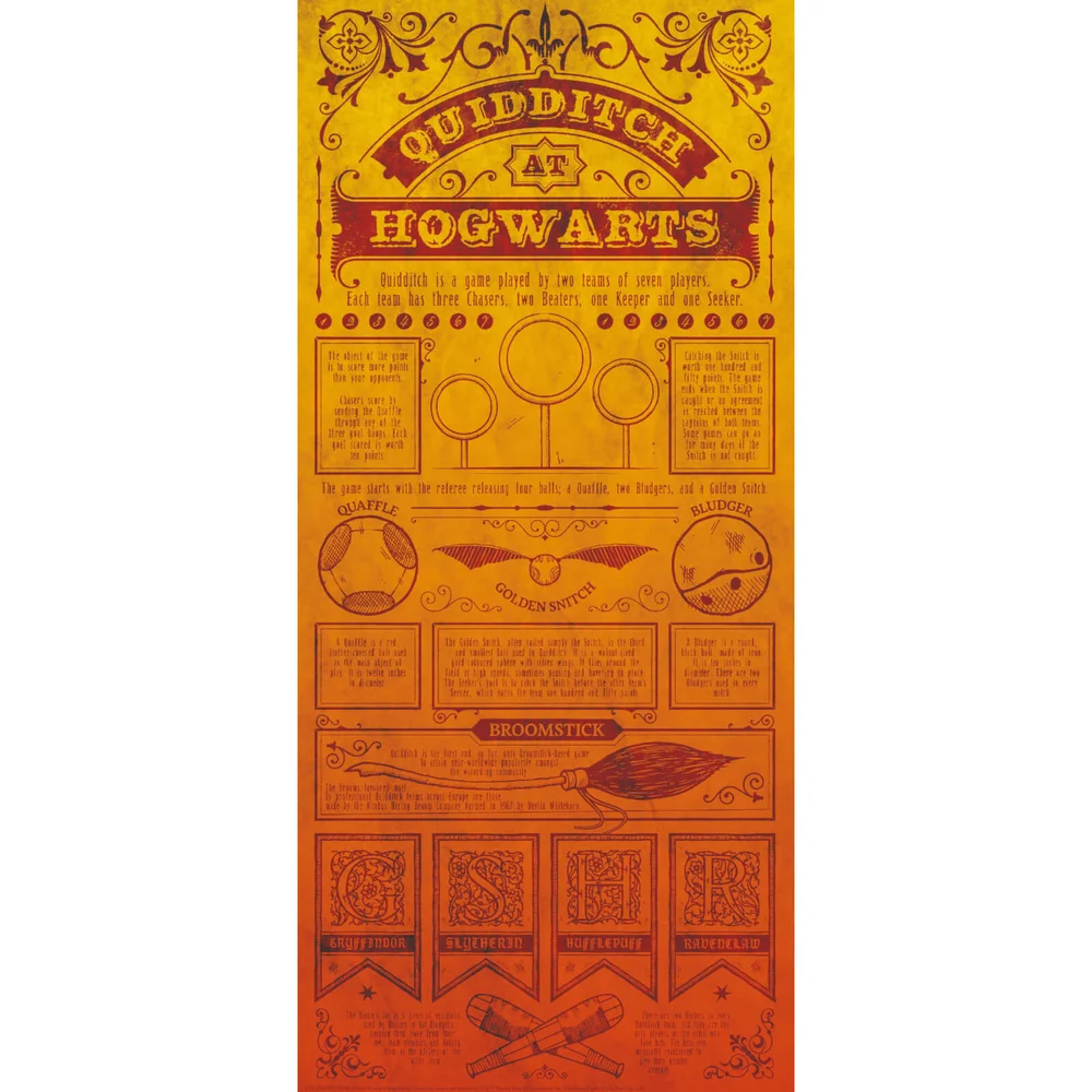 Harry Potter Premium Limited Edition Art Print : Quidditch Rules Image 1