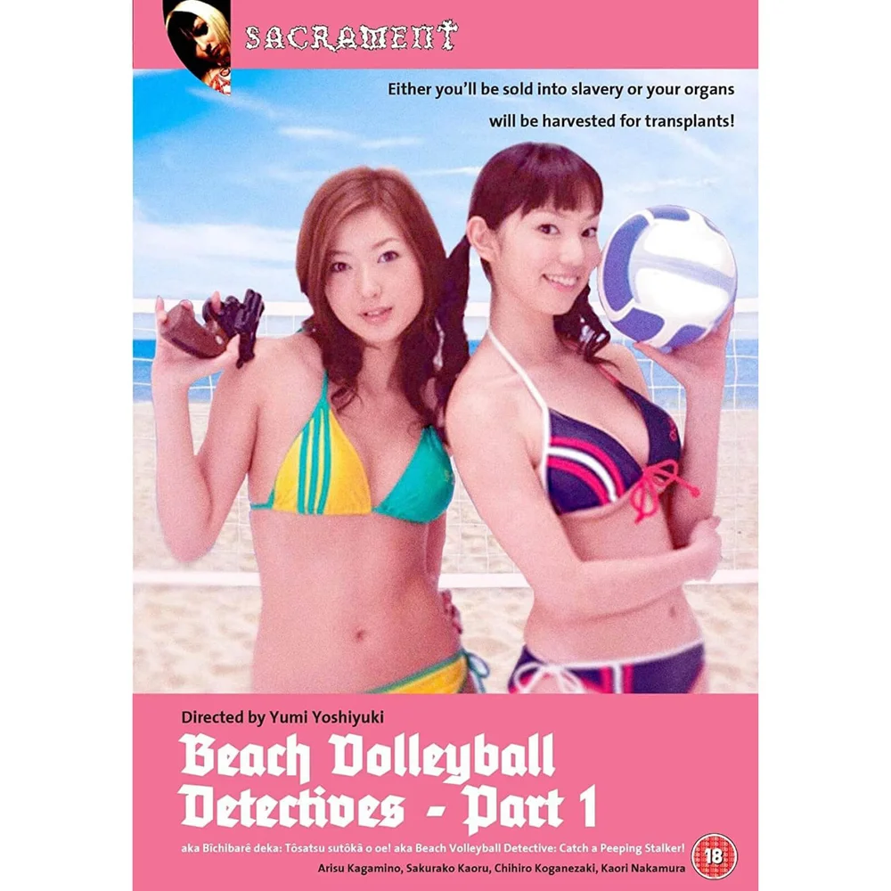 Beach Volleyball Detectives Image 1