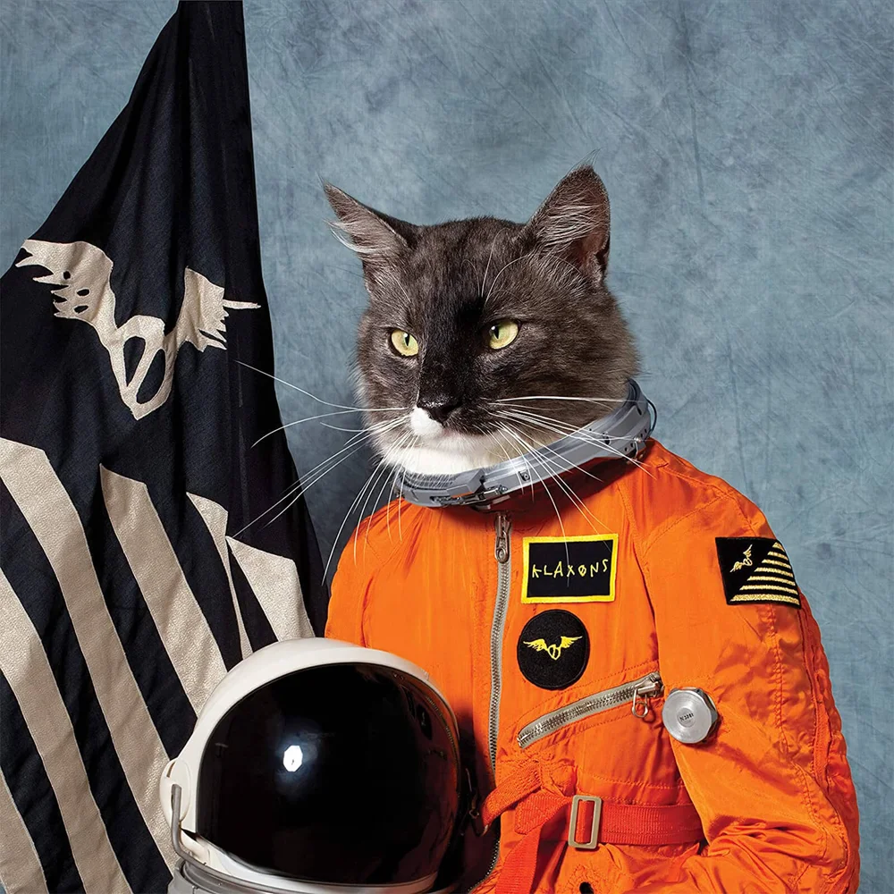 Klaxons - Surfing the Void Vinyl 2LP – Orange Vinyl (RSD 2020) Image 1