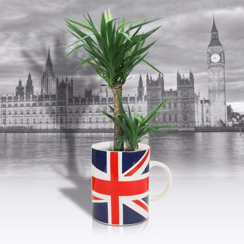 Giant Union Jack Mug Plant Pot Image 1