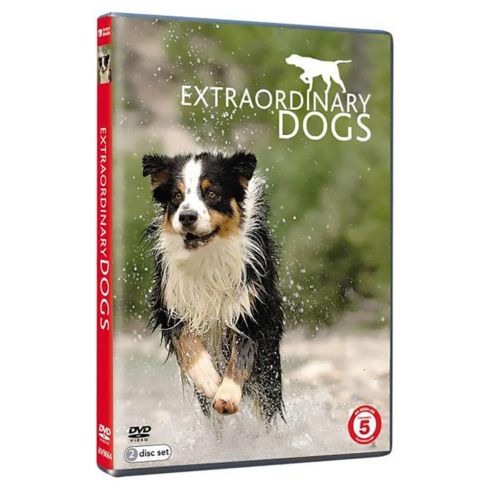 Extraordinary Dogs Image 1