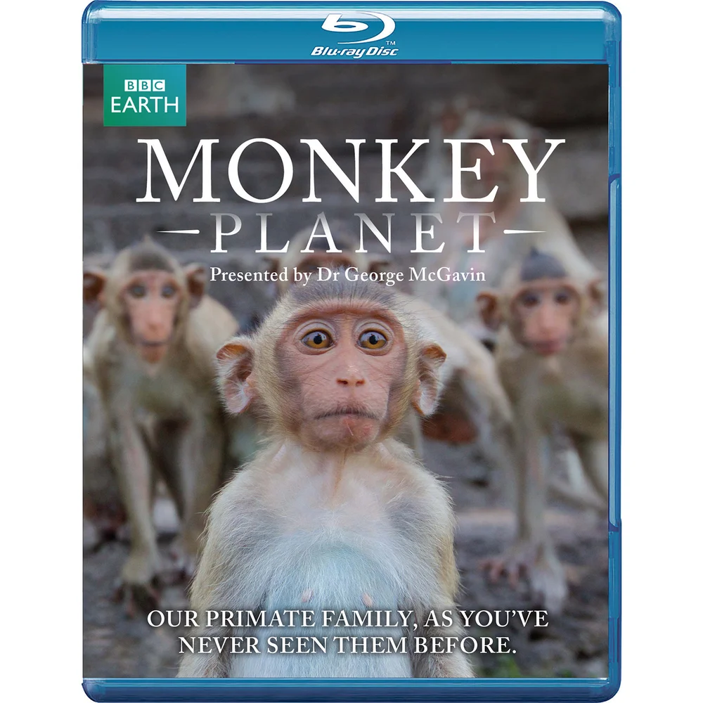 Monkey Planet Image 1
