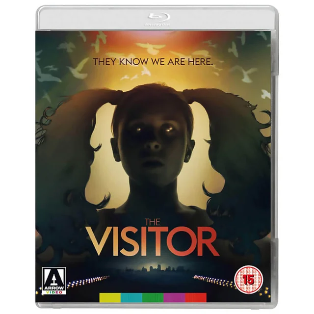 The Visitor