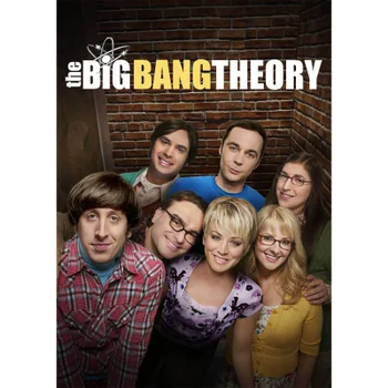 Big Bang Theory Series 1-9