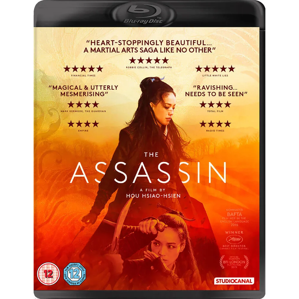 The Assassin Image 1