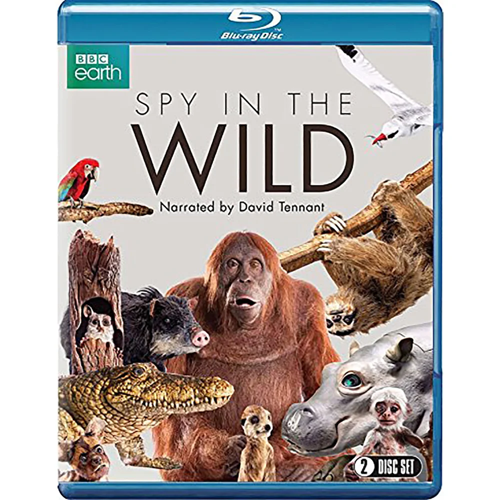 Spy in the Wild Image 1