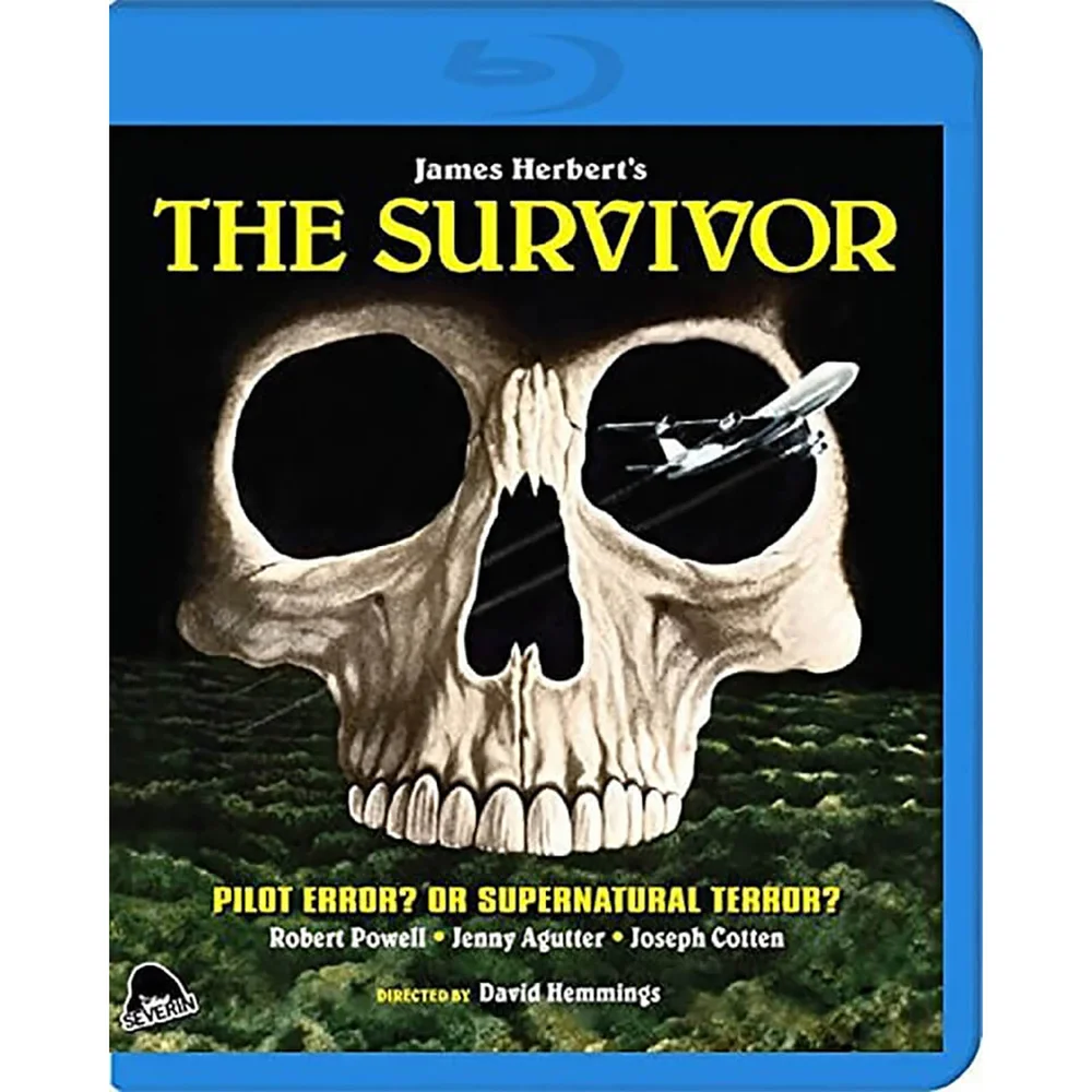 The Survivor Image 1
