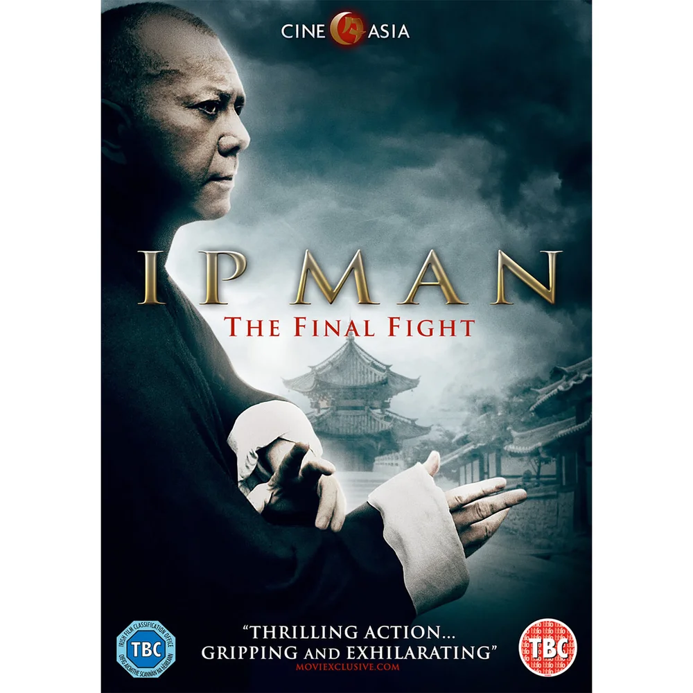 IP Man - The Final Fight Image 1