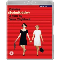 Daisies - undefined undefined