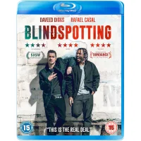 Blindspotting