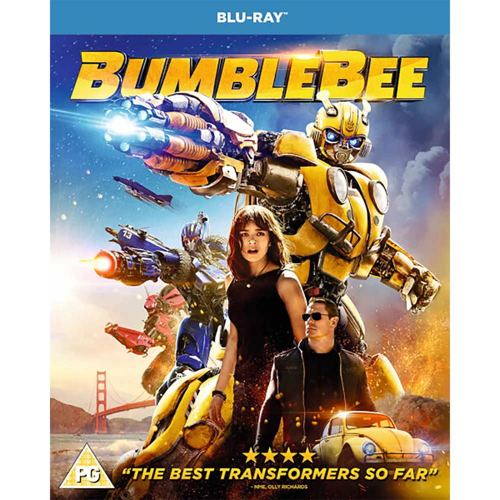 Bumblebee Image 1