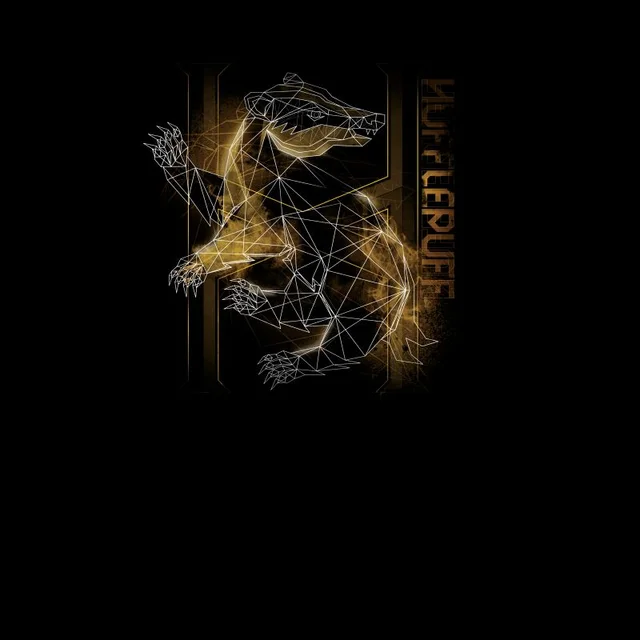 Harry Potter Hufflepuff Geometric Men's T-Shirt - Black