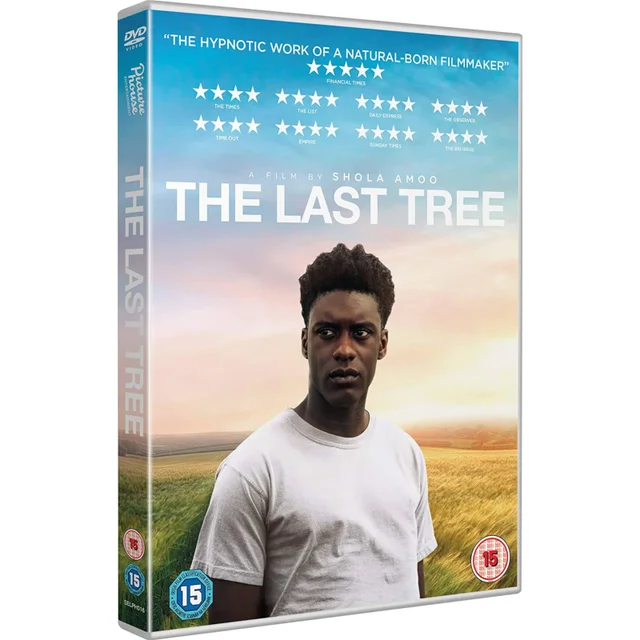 The Last Tree
