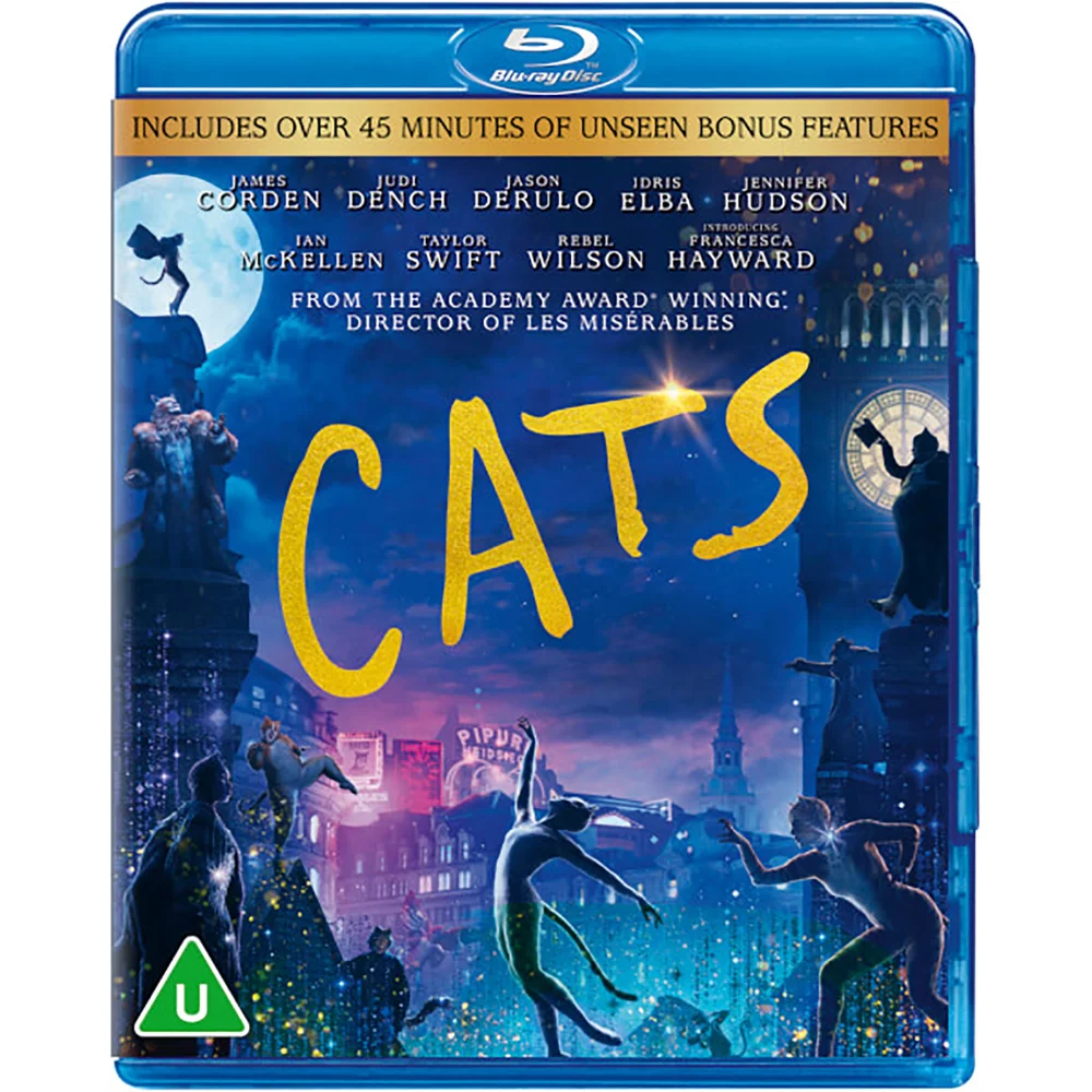 Cats Image 1
