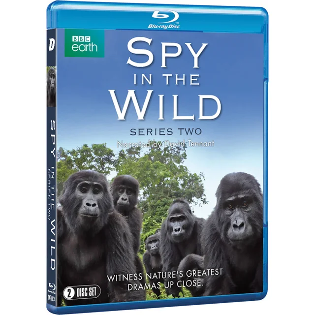 Spy in the Wild: Series 2