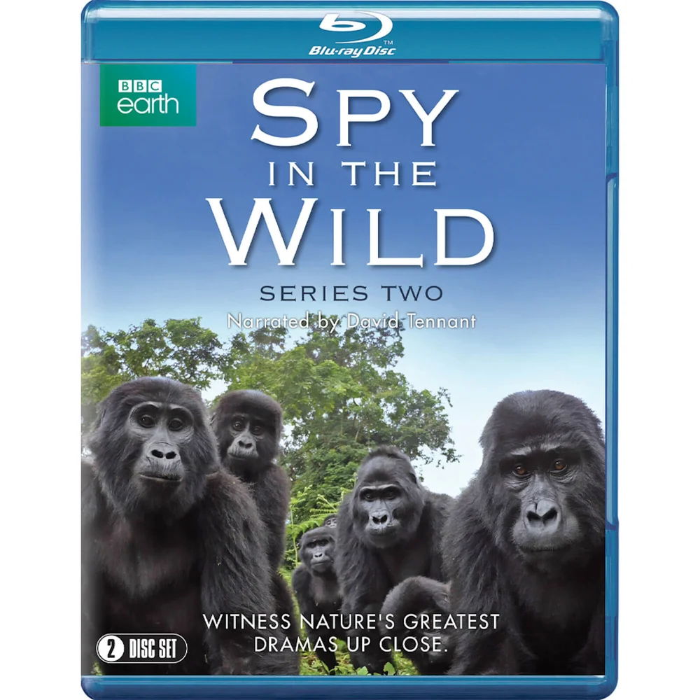 Spy in the Wild: Series 2 Image 1