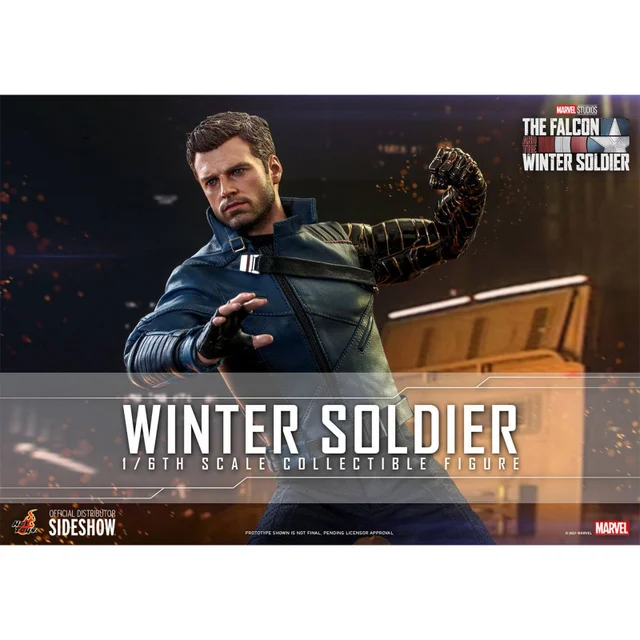 Hot Toys The Falcon and The Winter Soldier Action Figure 1/6 Winter Soldier 30 cm