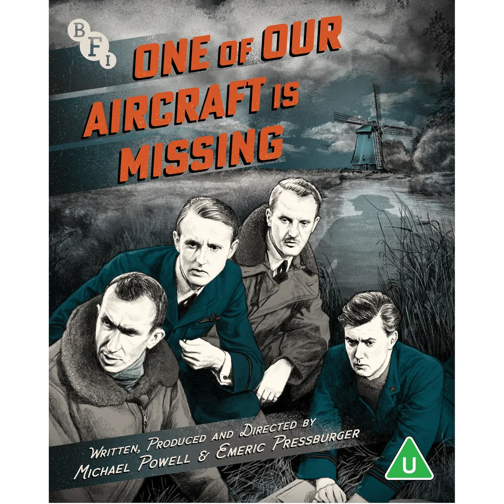 One of Our Aircraft is Missing Image 1