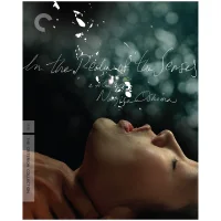 In The Realm Of The Senses - The Criterion Collection - undefined undefined