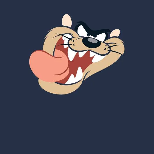 Looney Tunes Tasmanian Devil Face Hoodie - Navy
