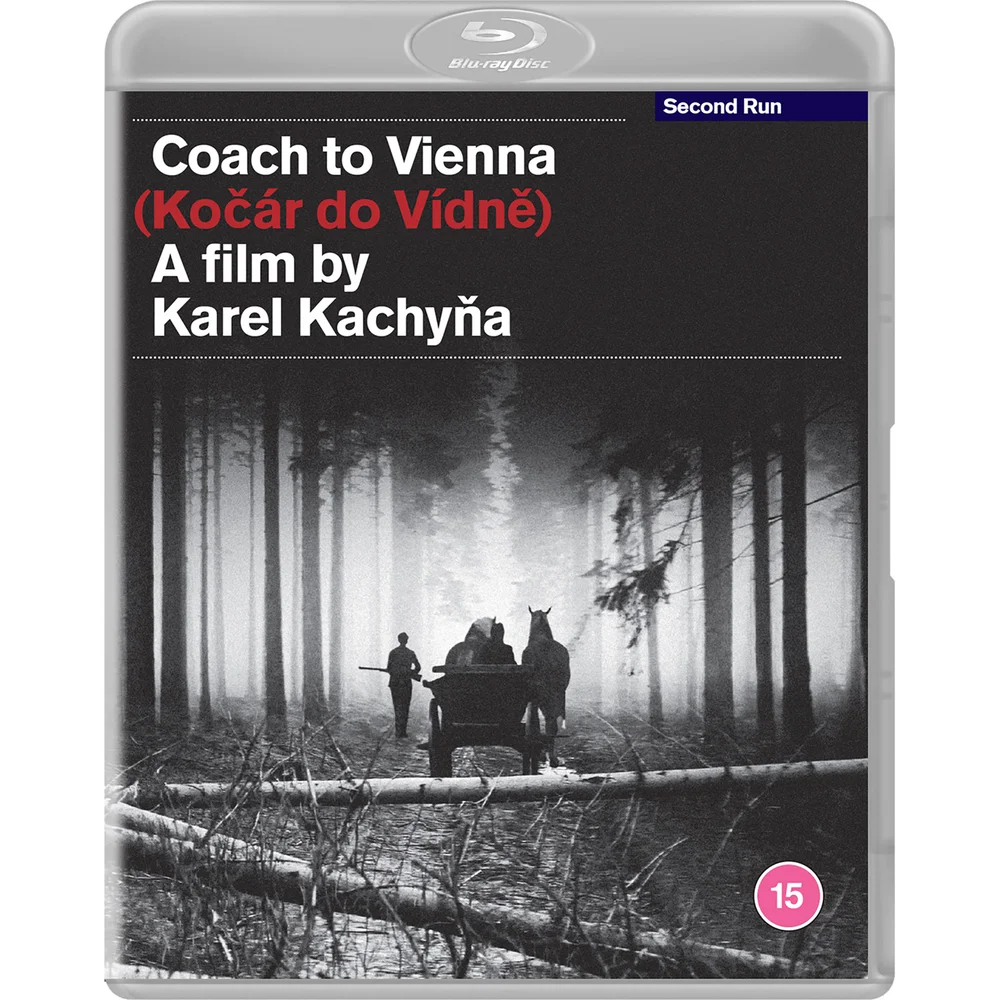 Coach to Vienna Image 1