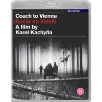 Coach to Vienna
