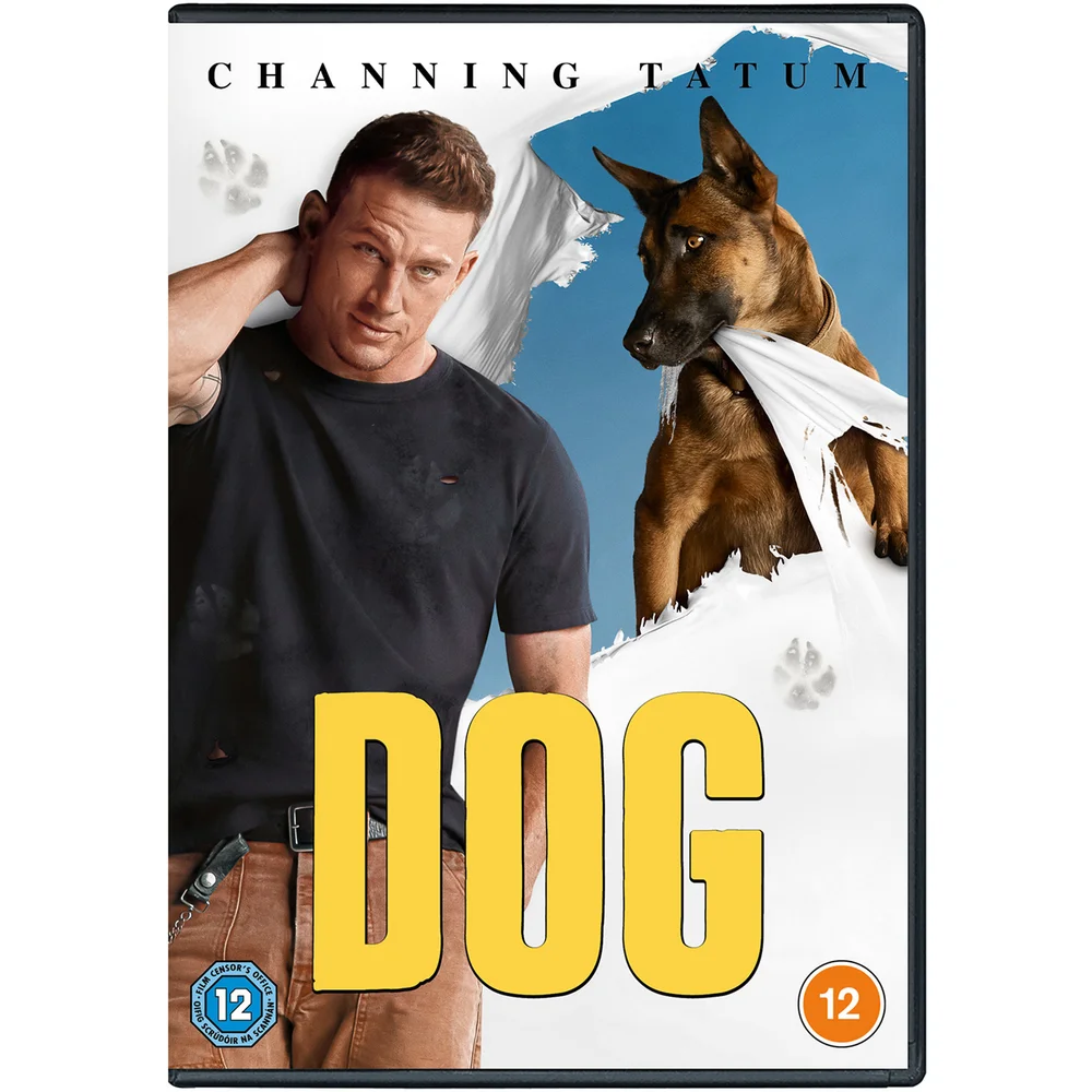 Dog Image 1