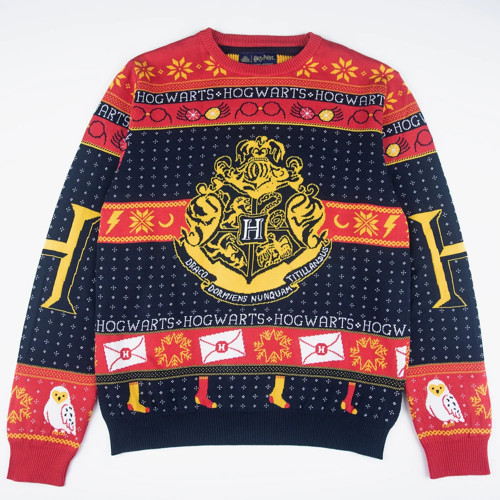 Harry Potter Back To Hogwarts Knitted Christmas Jumper - L Image 1