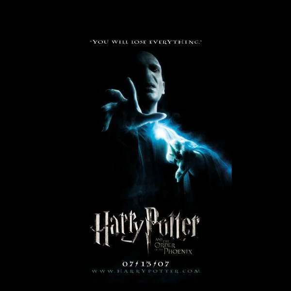 Harry Potter Order Of The Phoenix Hoodie - Black