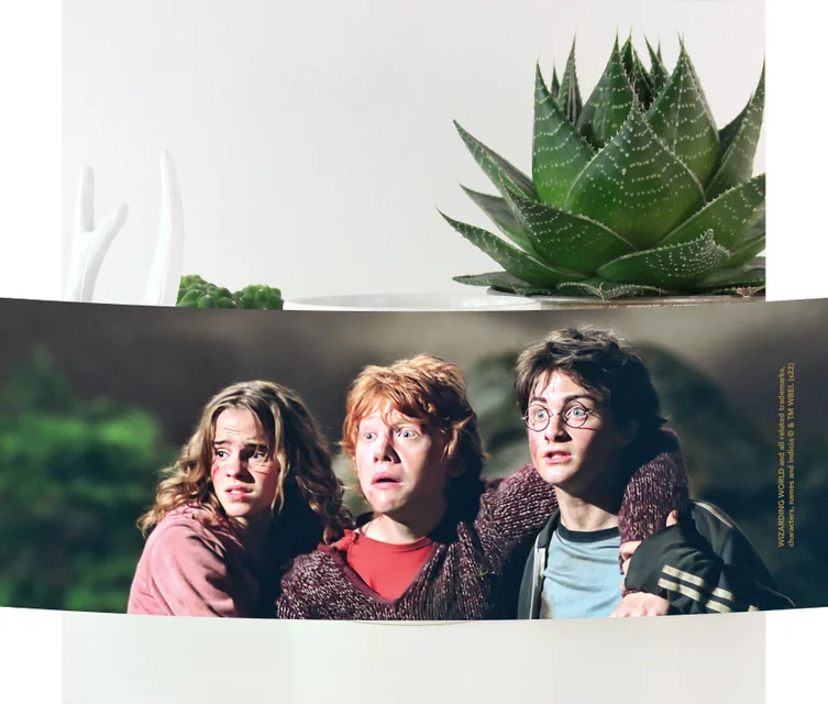 Harry Potter Hermione Ron And Harry Mug