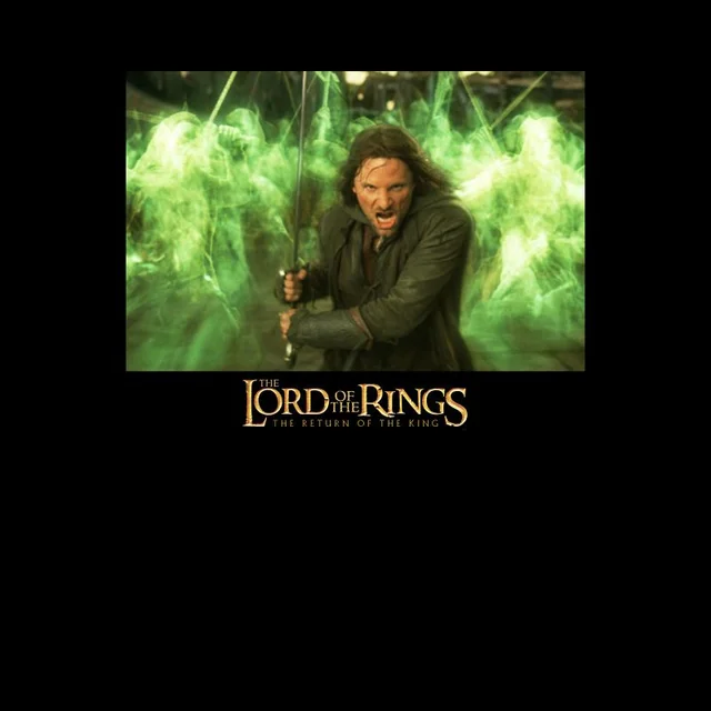 Lord Of The Rings Aragorn Men's T-Shirt - Black