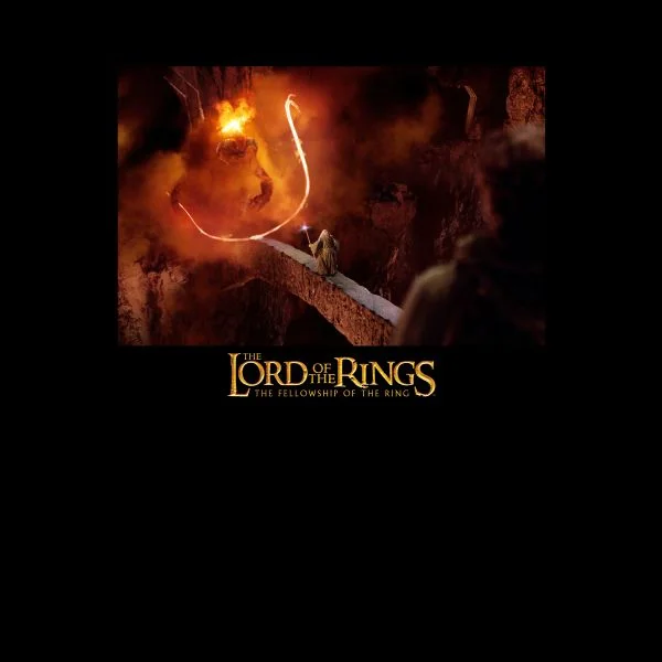 Lord Of The Rings You Shall Not Pass Women's T-Shirt - Black