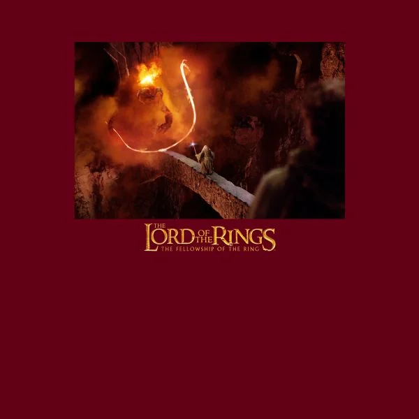 Lord Of The Rings You Shall Not Pass Women's T-Shirt - Burgundy