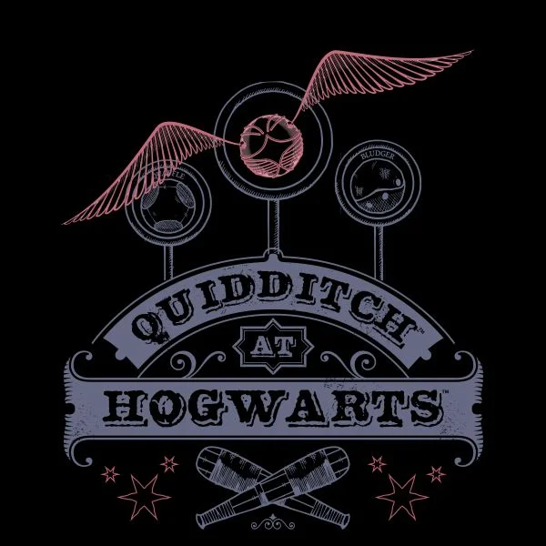Harry Potter Quidditch At Hogwarts Women's T-Shirt - Black