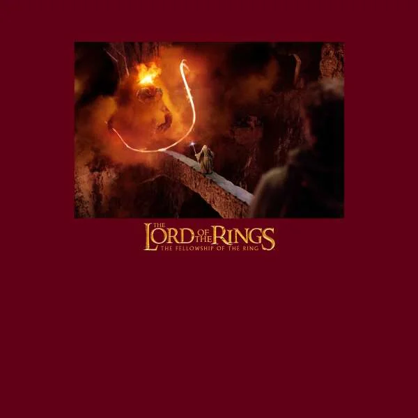 Lord Of The Rings You Shall Not Pass Hoodie - Burgundy