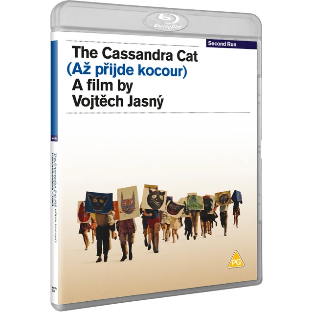 The Cassandra Cat