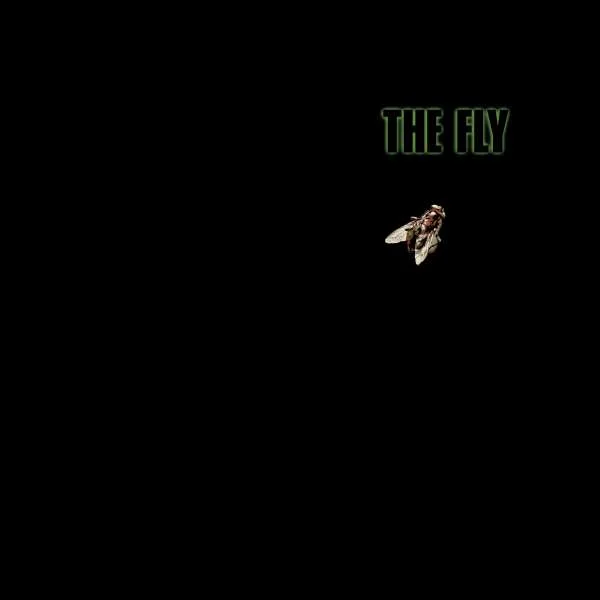 The Fly Giant Fly Women's Cropped Hoodie - Black