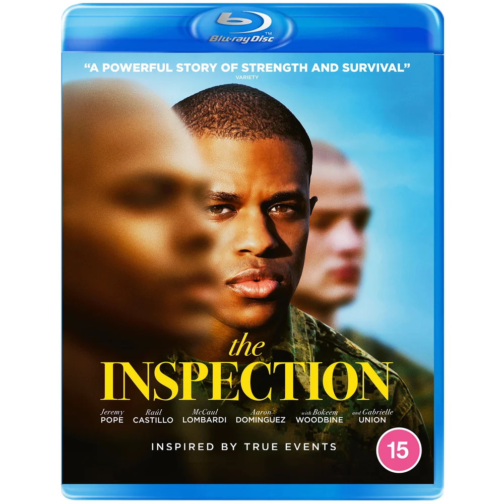 The Inspection Image 1