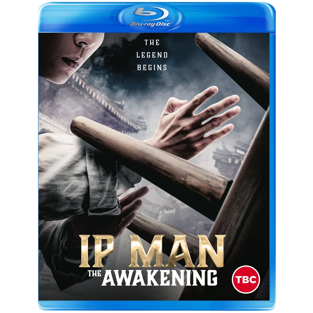 IP Man: The Awakening Image 1