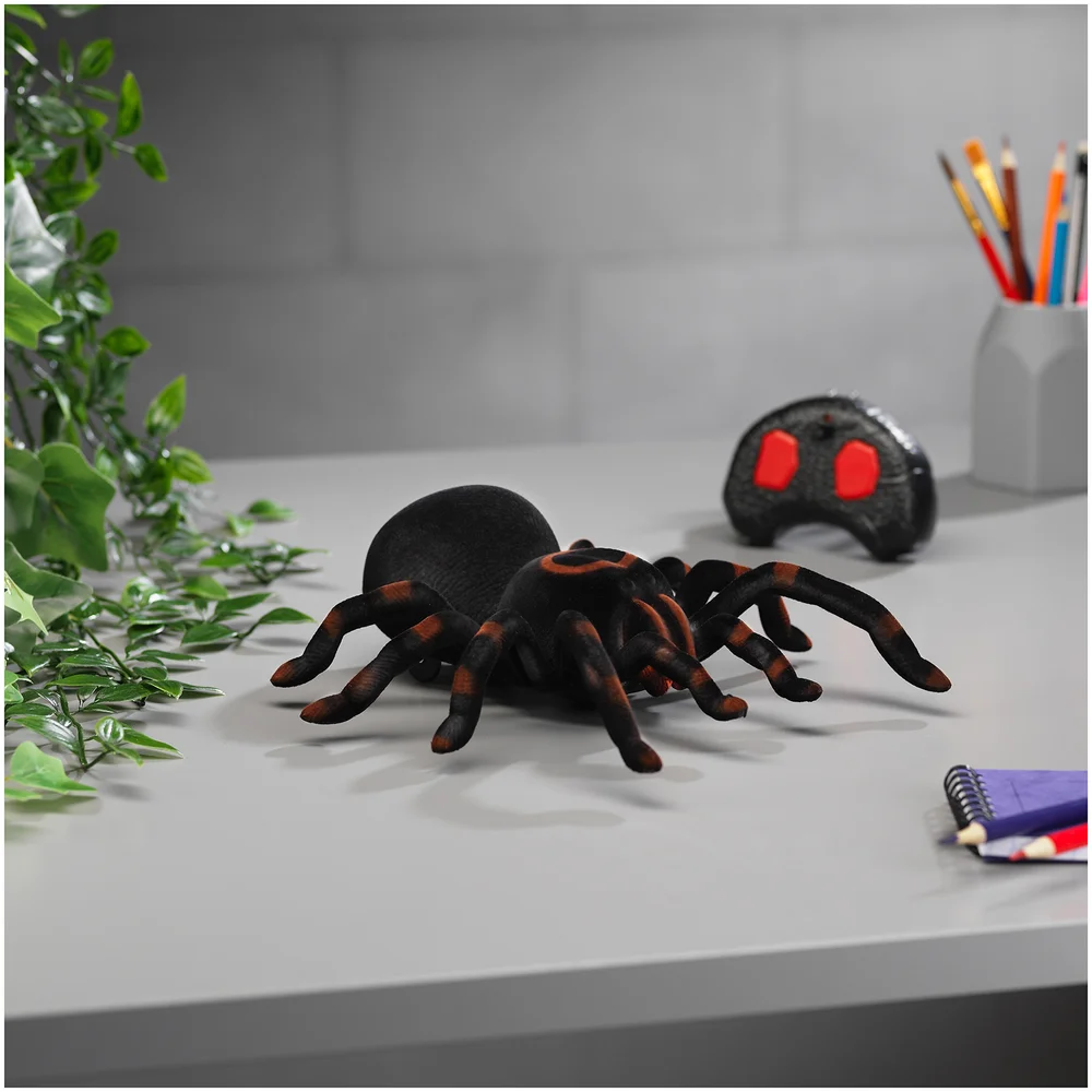 RC Tarantula Image 1