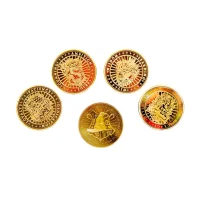 Harry Potter Mystery Coin - undefined undefined