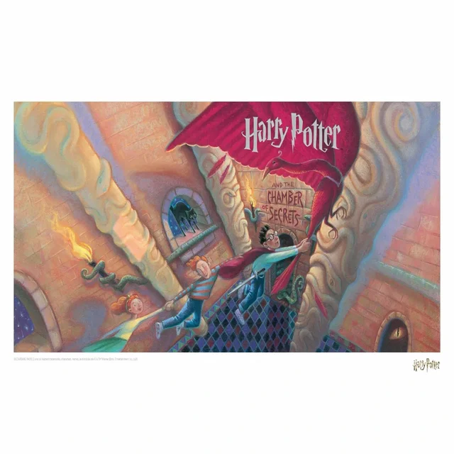 Harry Potter & the Chamber of Secrets Book Cover Artwork Limited Edition Art Print