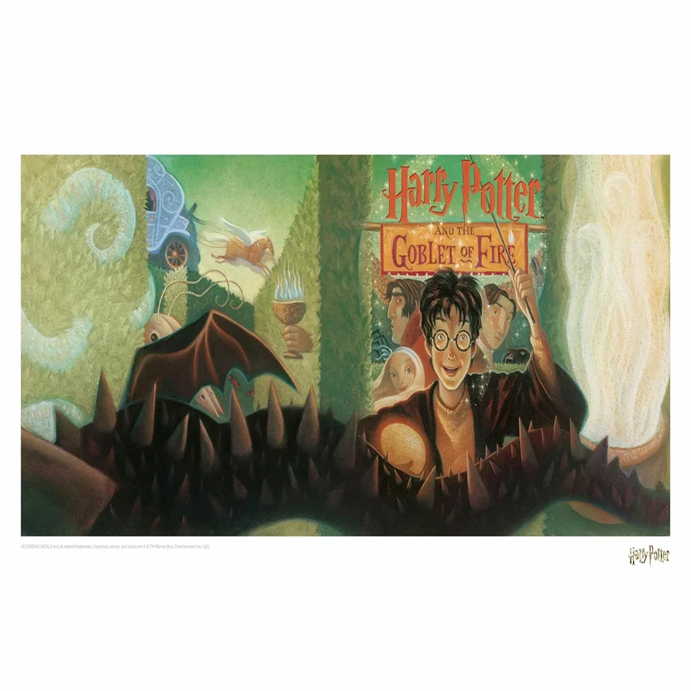 Harry Potter & the Goblet of Fire Book Cover Artwork Limited Edition Art Print Image 1