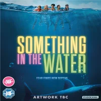 SOMETHING IN THE WATER - undefined undefined