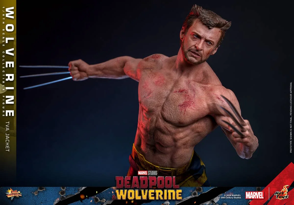 Hot Toys 1:6 Wolverine (TVA Jacket Version) - Deadpool & Wolverine Image 1