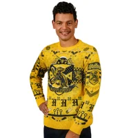 Harry Potter Hufflepuff Quidditch Knitted Christmas Jumper - undefined undefined