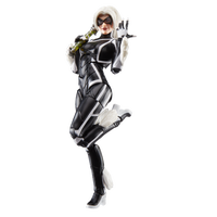 Hasbro Marvel Legends Series Gamerverse Black Cat Felicia Hardy Action Figure